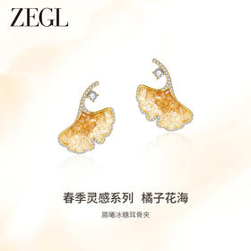 ZEGL设计师橘子花海系列花朵耳环女2024新款爆款耳钉925银针耳饰