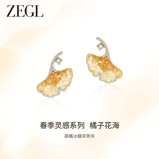 ZEGL设计师橘子花海系列花朵耳环女2024新款爆款耳钉925银针耳饰 商品图0