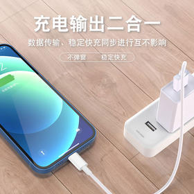 严选苹果老款扁头 5W充电线苹果数据线usb头1条