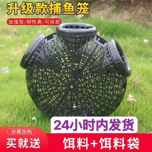 捕鱼笼捕鳝神器鳝鱼笼子塑料鱼虾笼自制倒须抓鱼鳝网笼专用 商品图7
