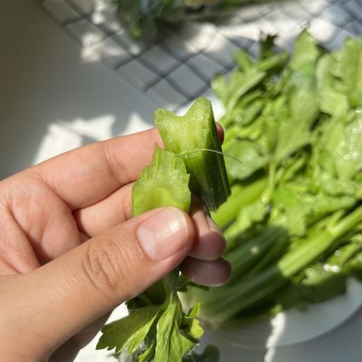 云南高原水果芹菜【360克】 商品图2