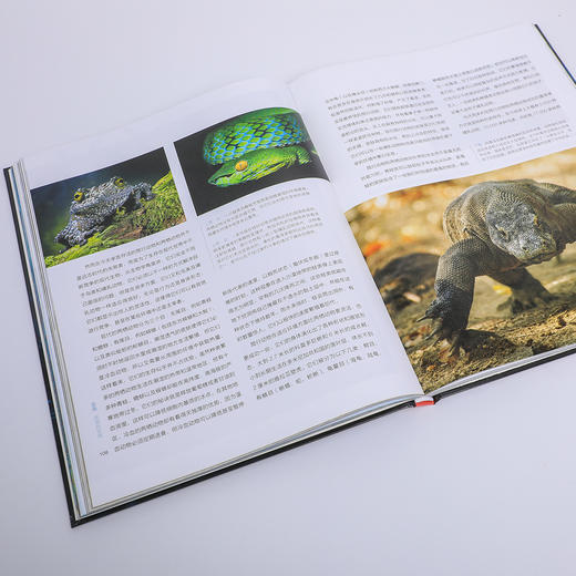 《BBC 科普三部曲》（全3册）新版 商品图5