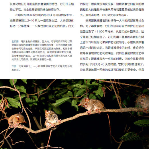 《BBC 科普三部曲》（全3册）新版 商品图10