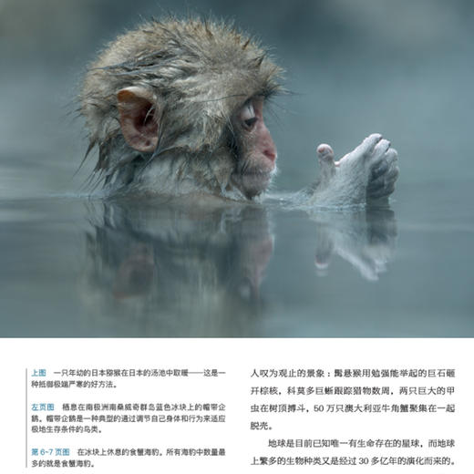 《BBC 科普三部曲》（全3册）新版 商品图6