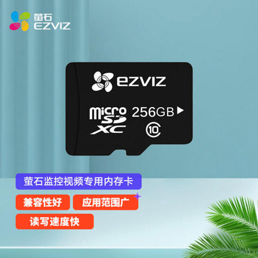 萤石 智能存卡：256萤石内存卡   摄像机专用内存卡 商品图1