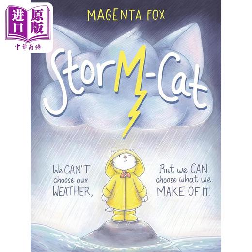 【中商原版】风暴猫 Magenta Fox Storm-Cat 英文原版 儿童绘本 动物故事图画书 进口童书 天气与儿童情感感受读物 3-7岁 商品图0