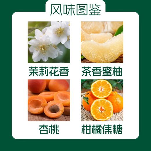 爱伲庄园 雨林瑰夏有机咖啡豆 100g罐装 商品图2