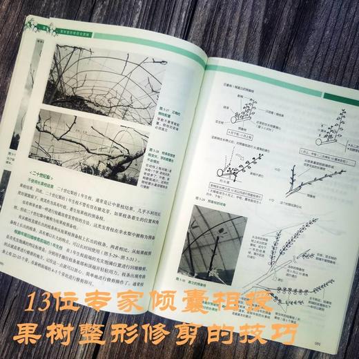 官网 果树整形修剪全图解 日本农山渔村文化协会 14种果树修剪入门教程书籍 商品图4