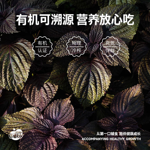 【辅食/母婴用油】 有机DHA紫苏籽油110ml  滴管装 商品图3