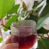 不老莓植物饮品 天然纯粹0添加 富含花青素 轻卡0脂每日一饮 改“便”生活，拒绝大腹婆 商品缩略图7