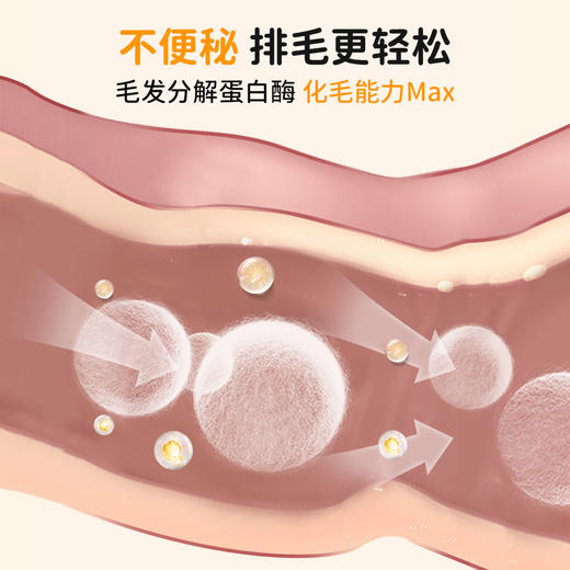 【犬猫通用X】（1瓶200片）爪爪博士猫草片猫咪化毛球片调理吐毛排毛化球，温和不伤胃（狗狗可吃） 商品图2