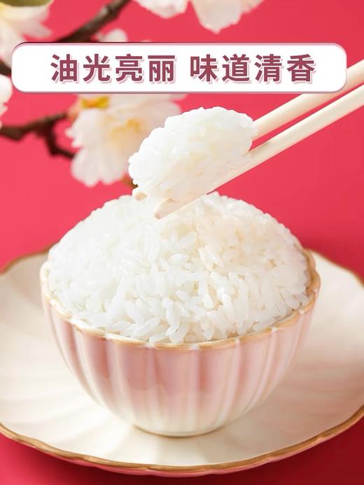 25年新米【商超同款】寒露五常大米 10斤 商品图2