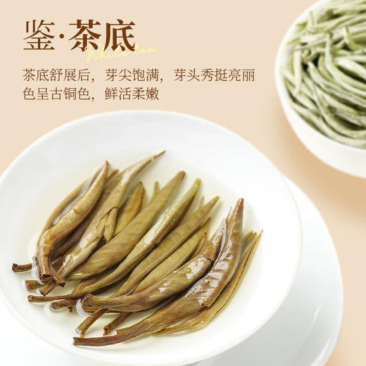 茶马世家白毫银针金奖 特级头采云南老树花果香白茶 罐装100克 商品图5