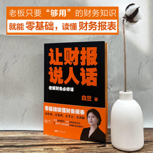 让财报说人话-老板财务必修课 商品图2