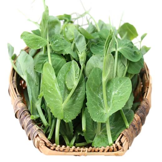 豌豆尖：采摘自豌豆幼苗最上端的幼嫩部分，叶菜王者，口感脆嫩。 商品图2