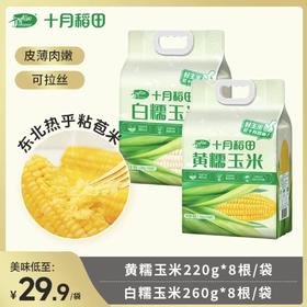 【8个装 可拉丝】十月稻田黄糯/白糯玉米任选 真空包装