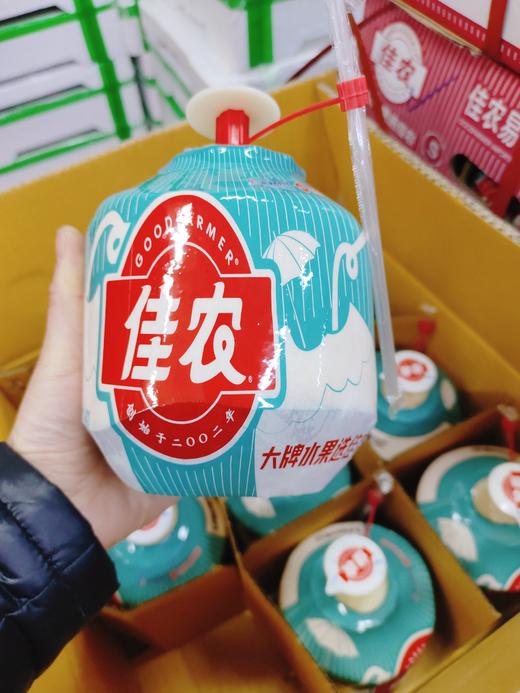 佳农椰青一个 商品图0