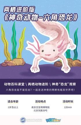 【南京】六角恐龙