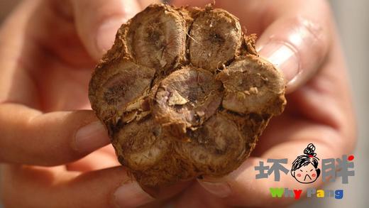 坏胖的一杯茶 每包30小袋 原味 茉莉  6克/泡 商品图10