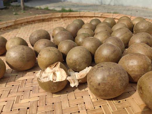 坏胖的一杯茶 每包30小袋 原味 茉莉  6克/泡 商品图8