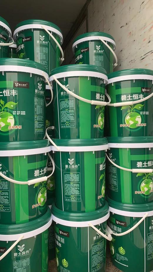 碧土恒丰酵素滴灌肥20公斤滴灌4亩地！ 商品图2