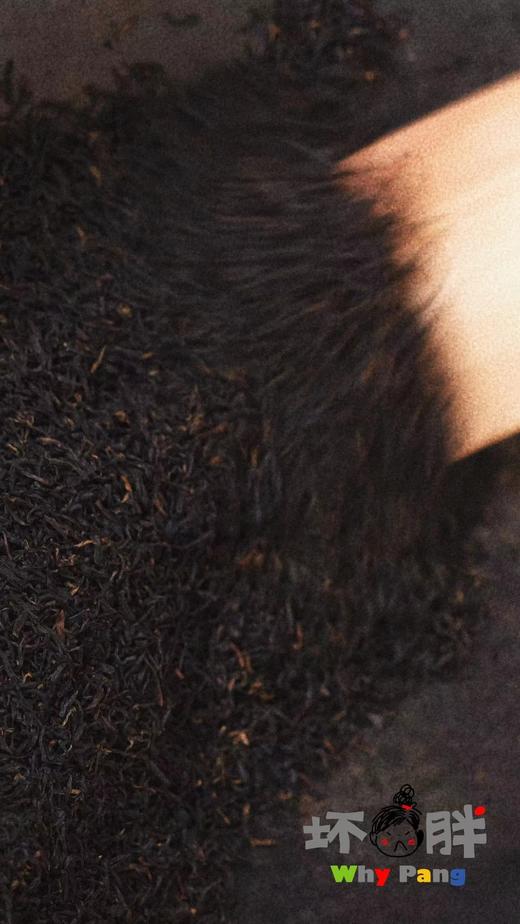 坏胖的一杯茶 每包30小袋 原味 茉莉  6克/泡 商品图5