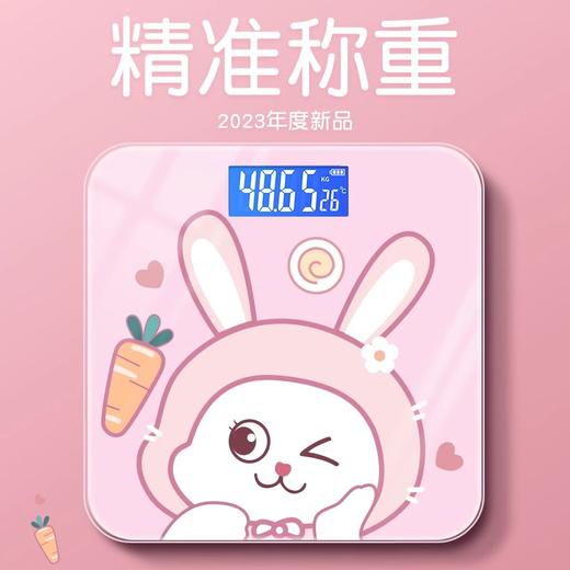Z2339 家用智能小型电子秤 商品图0