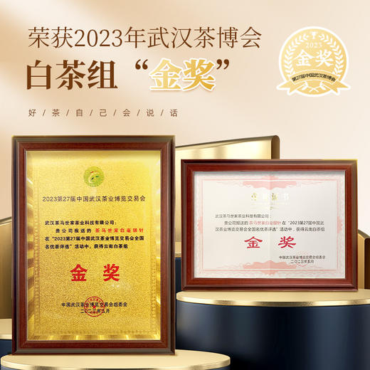 茶马世家白毫银针金奖 特级头采云南老树花果香白茶 罐装100克 商品图6