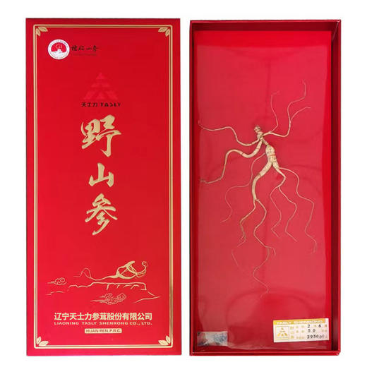 天士力野山参二等六级3克-5克红卡礼盒装自然生长于深山密林15年以上带自检证书送礼送长辈 商品图0