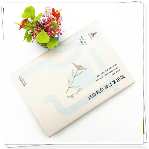 何氏内妇科临证指要 何新慧 主编 何氏二十八世医著新编 中国中医药出版社 中医临床 书籍 商品图2