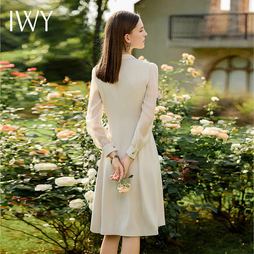 IWY/杏色正式场合西装连衣裙礼服高端职业装气质女神范商务装裙子Q729 商品图3