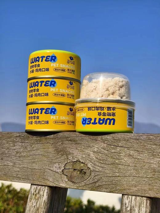 星际喵冻干补水罐头  猫犬通用 商品图0