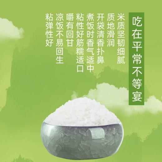 十月稻田 寒露秋香吉林香町米5kg*2 粘弹筋糯 清香回甘 48小时发货 商品图2