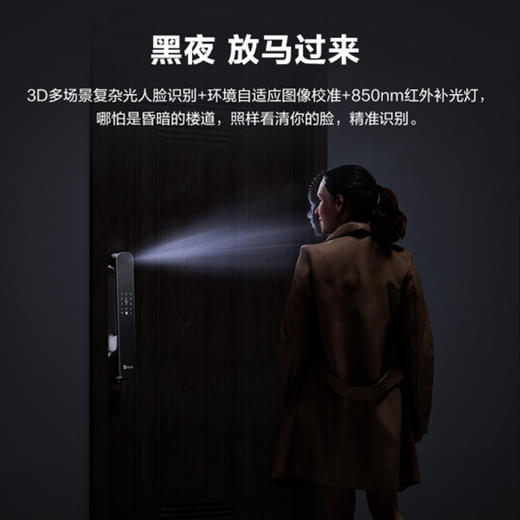 萤石 智能视频锁 DL30F 智能家用视频锁 商品图4