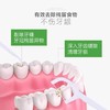 小豚卫士一次性牙线棒家庭装牙线50支/盒 高分子食品级牙签线剔牙线便携式随身超细扁线小 商品缩略图4