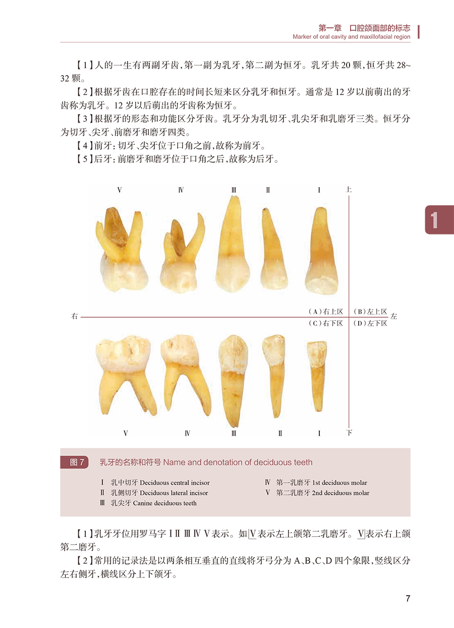 34199(yz) (7).jpg