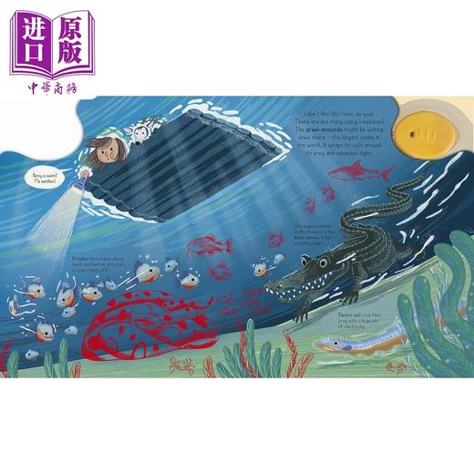 【中商原版】魔法手电筒 雨林探索 Magic Torch Explore the Rainforest 英文原版 儿童科普绘本 自然科学探索童书 精装进口 商品图4