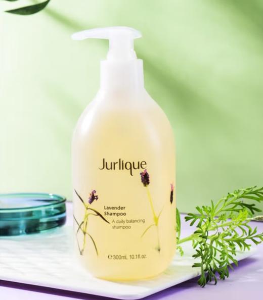 【日化洗护】茱莉蔻（JURLIQUE）薰衣草洗发露300ml +护发乳300ml  -KY 商品图2