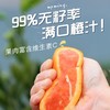 湖北秭归·中华红橙 商品缩略图1