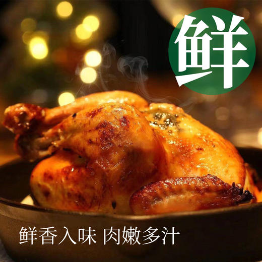 【超嫩童子鸡】&【黄油老母鸡】3只 蛋鲜森 白切鸡手撕鸡专用  炖汤老母鸡  无抗鸡肉 商品图4