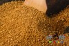 坏胖的一杯茶 每包30小袋 原味 茉莉  6克/泡 商品缩略图6