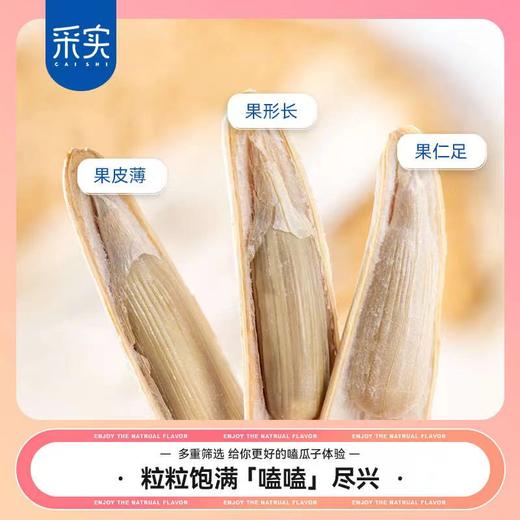 一周左右发货【自营】正宗新疆马牙瓜子250g/袋 商品图3