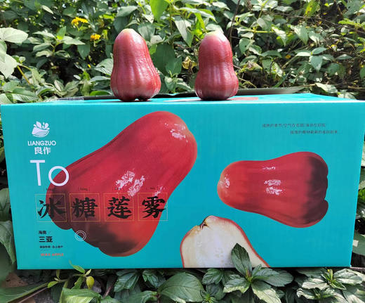 海南黑金刚冰糖莲雾   色泽红艳水嫩，光泽动人，颗颗饱满 商品图4