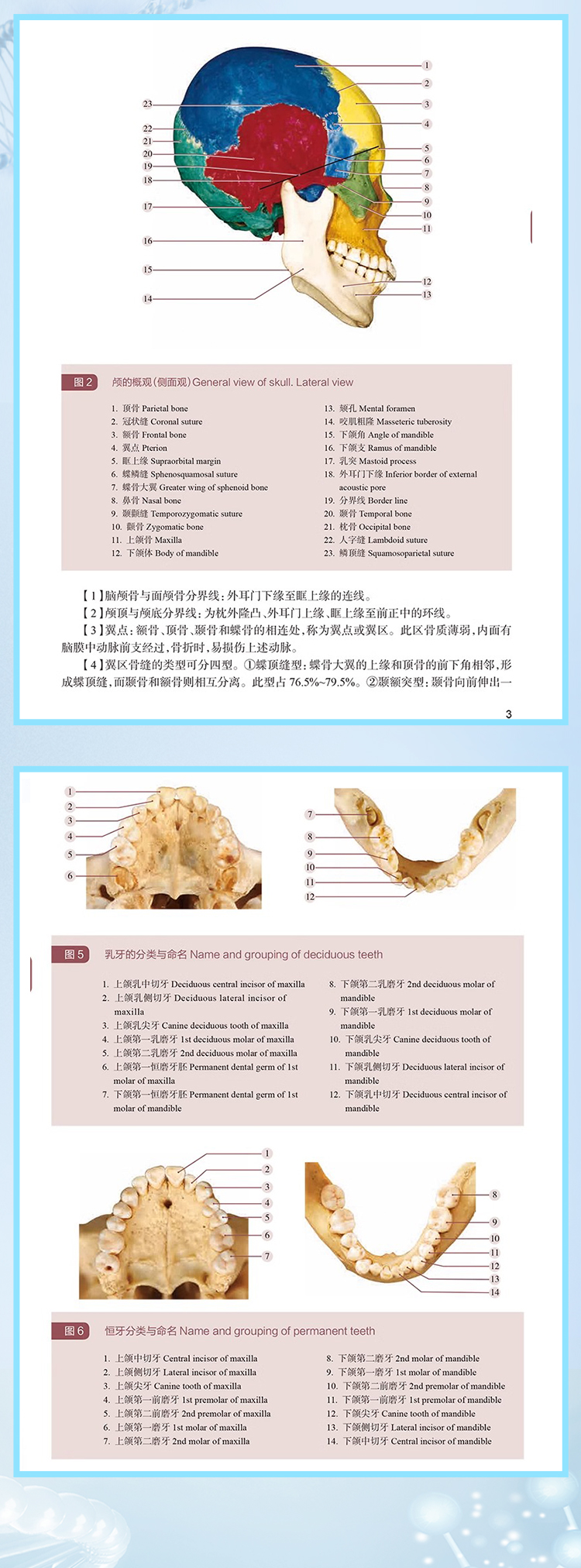 西医02_05.jpg