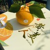 🌹太喜欢黄美人了～ 黄美人比红美人更明媚更娇气，看上去就讨人喜欢，娇俏迷人，有甜橙般的香气和比橘子还薄的皮。果面浓橙色，果肉细嫩化渣，高糖优质，有甜橙般香气，口感香甜润滑，颠覆了柑橘原有的口感。 商品缩略图0