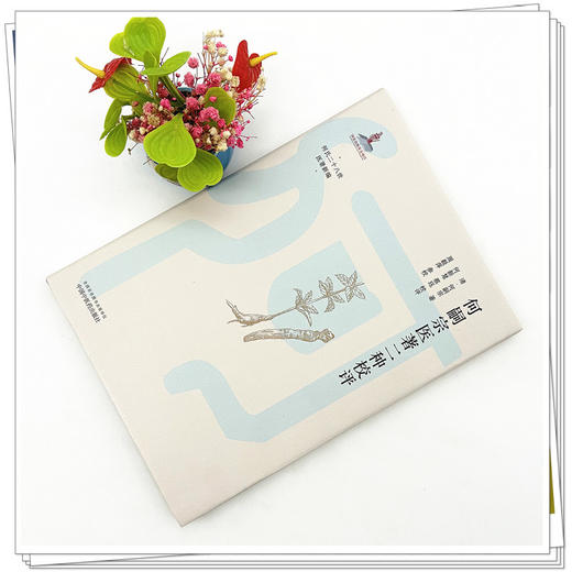 何嗣宗医著二种校评 (清) 何嗣宗 著 何氏二十八世医著新编 中国中医药出版社 中医临床 书籍 商品图2