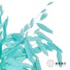 永生花材 | 小盼草琉光蓝 商品缩略图2