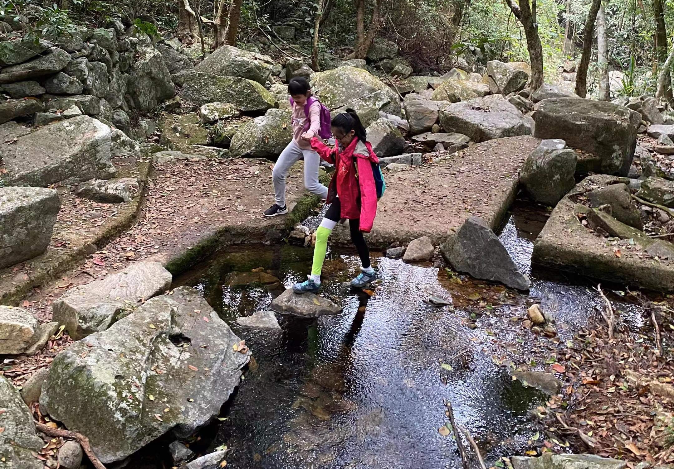 走读世界 | 山海里的香港故事