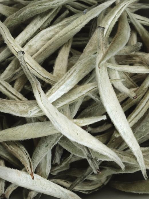 现货！翠美2025明前特/大【白毫银针】，云南的古树白茶，果然非同凡响！！ 商品图9