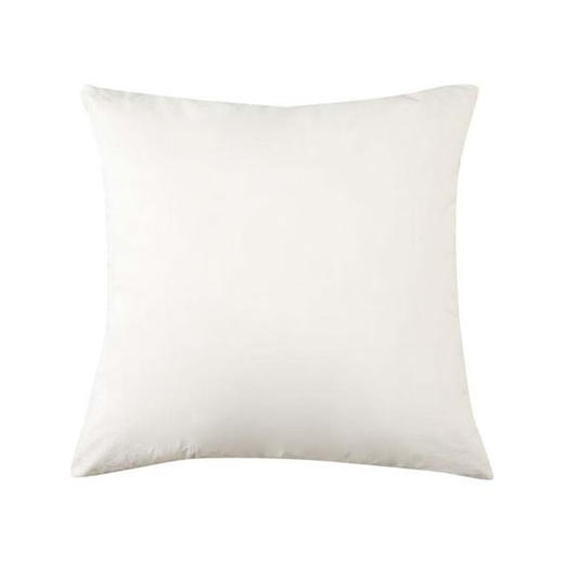 羽毛靠垫芯 N 商品图0